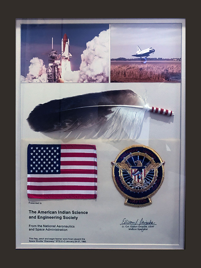 Framed Eagle Feather